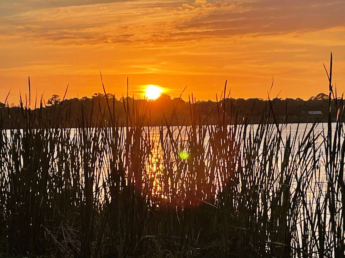 Paradise Lake Rousseau ,Fl Hipcamp in Crystal River, Florida