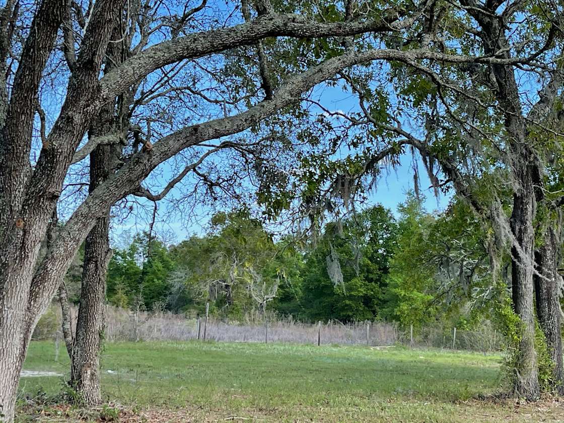 Johnny R.’s Land Hipcamp in Shady Hills, Florida