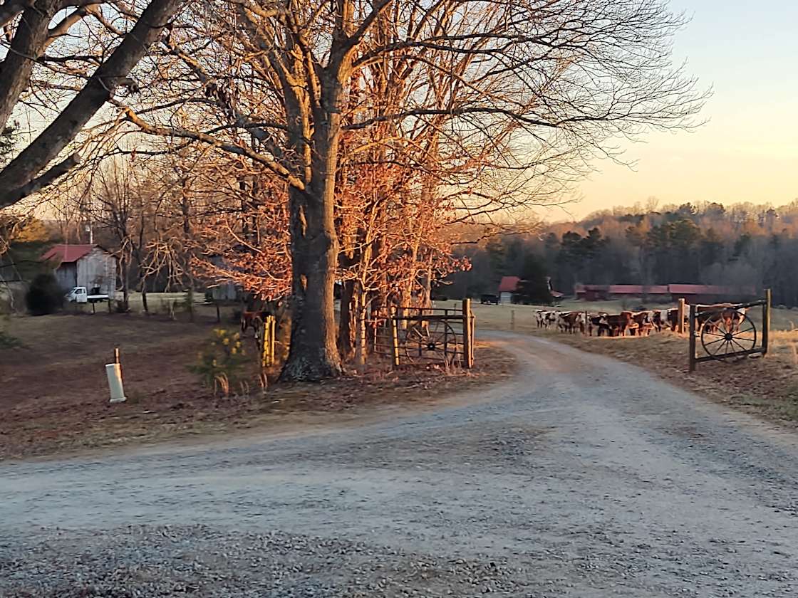Surry Hills Farm Hipcamp in Dobson, North Carolina