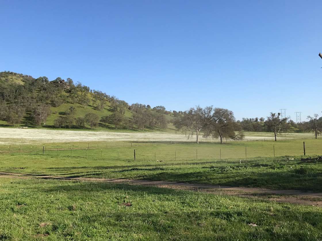 Mountain Ranch Tent Camping Hipcamp in East Orosi, California