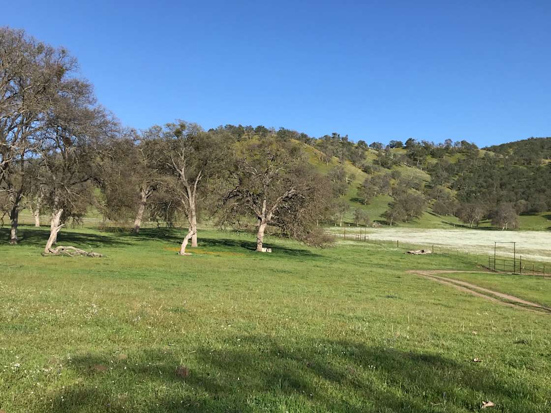 Mountain Ranch Tent Camping Hipcamp in East Orosi, California