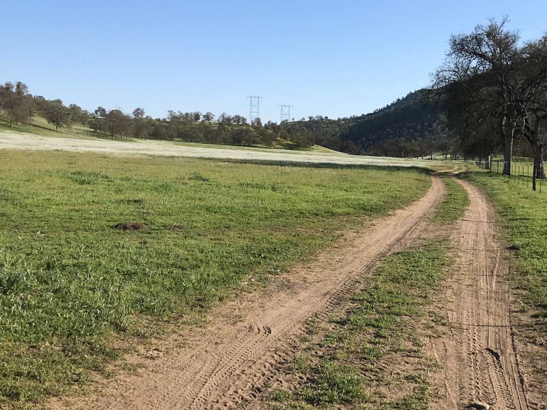 Mountain Ranch Tent Camping Hipcamp in East Orosi, California