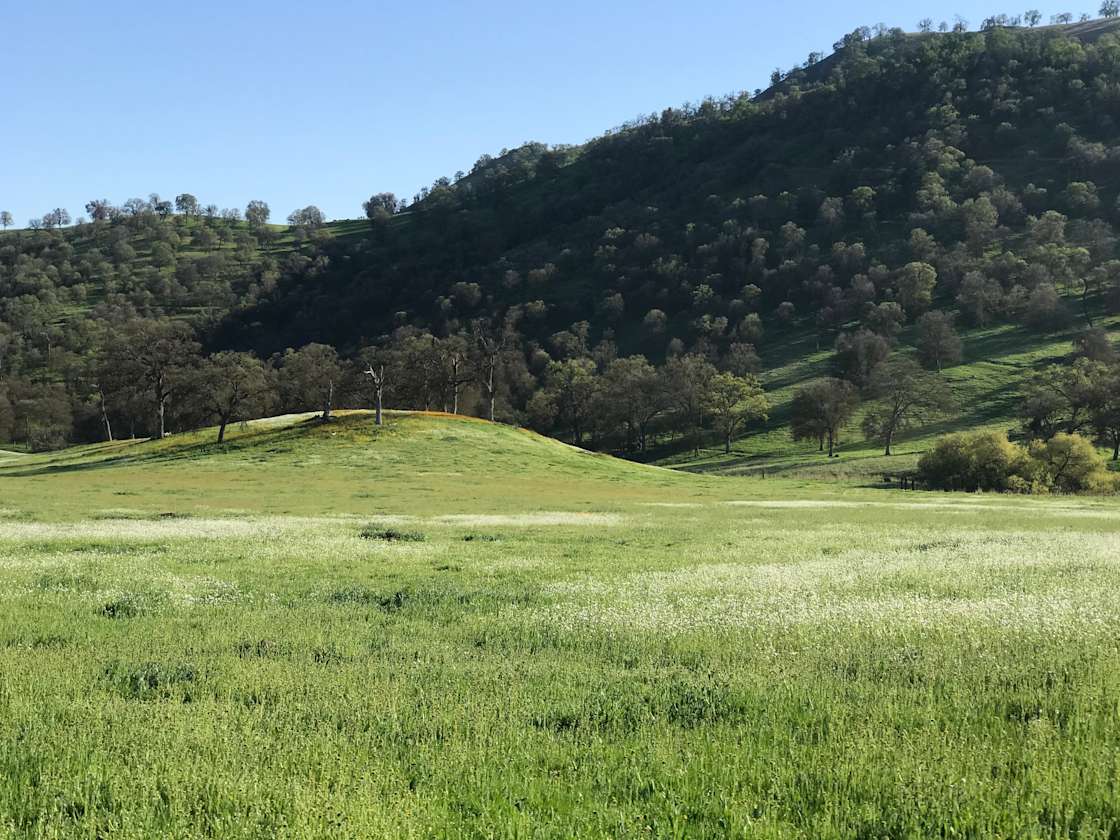 Mountain Ranch Tent Camping Hipcamp in East Orosi, California