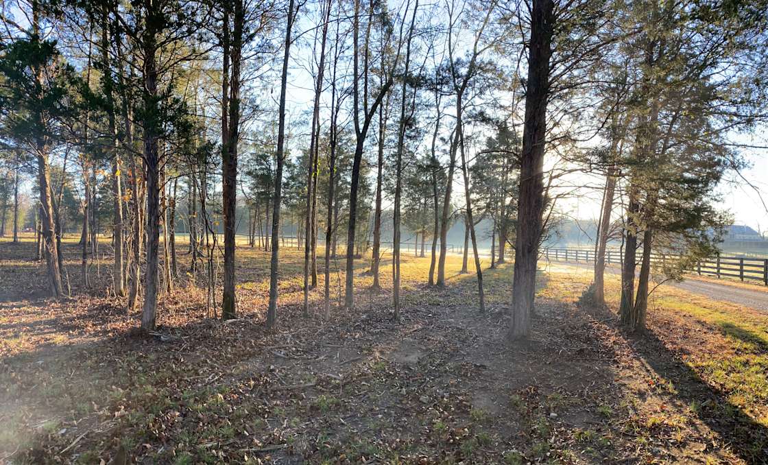 Ben M.’s Land Hipcamp in Eagleville, Tennessee