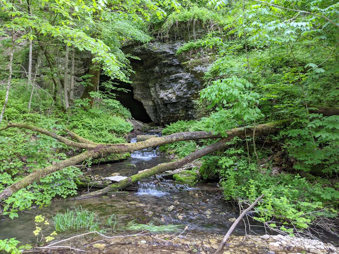 Schmidt's Cabin Hipcamp in Fountain, Minnesota