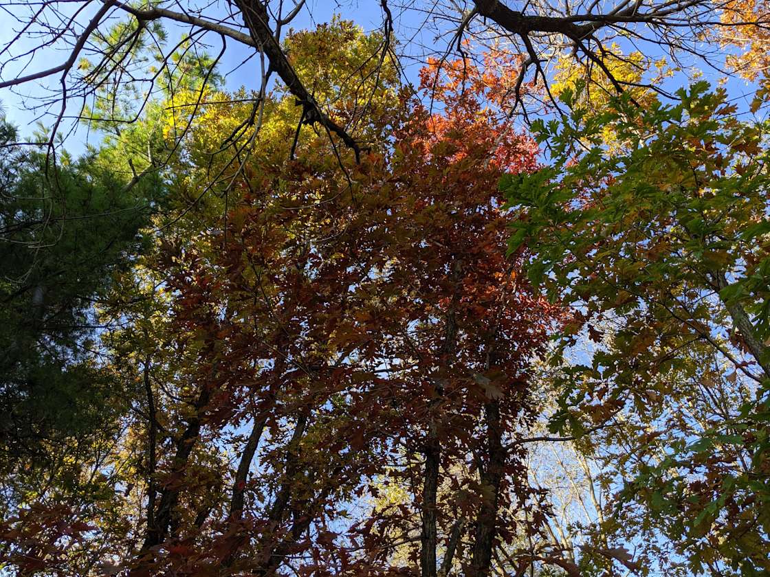 Schmidt's Cabin Hipcamp in Fountain, Minnesota