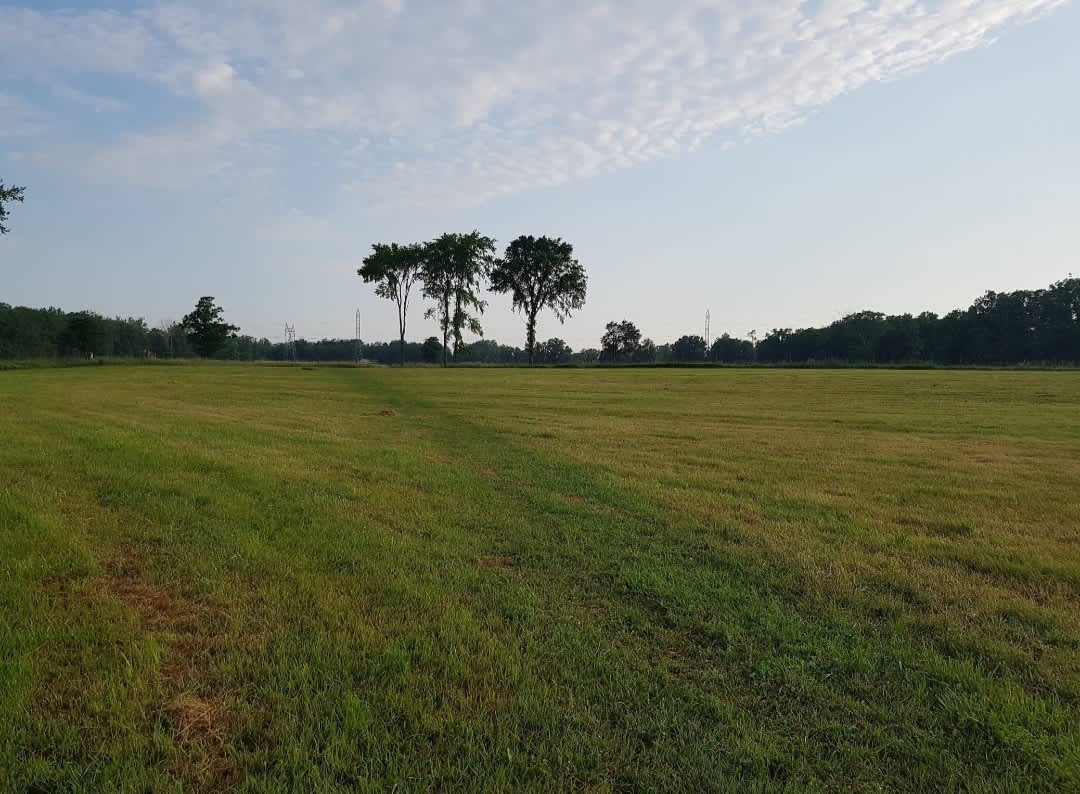 Small Hobby Farm Tent Camping Hipcamp in Caistor Centre, Ontario