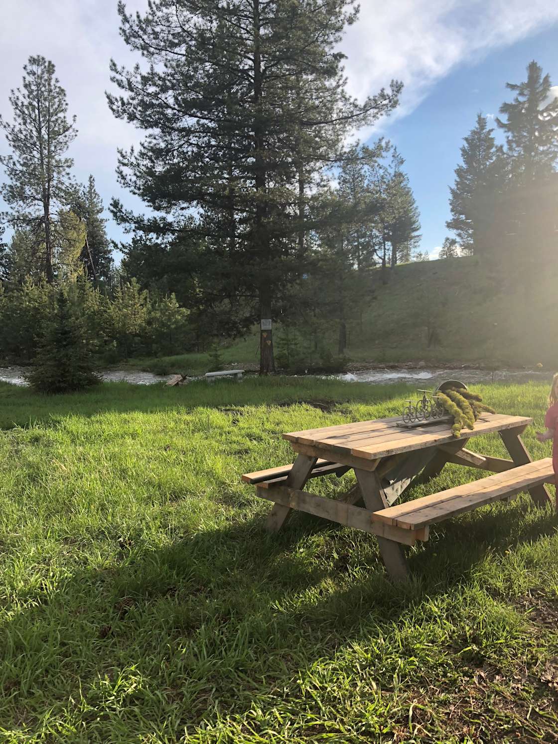 Firewood farms Hipcamp in Seeley Lake, Montana