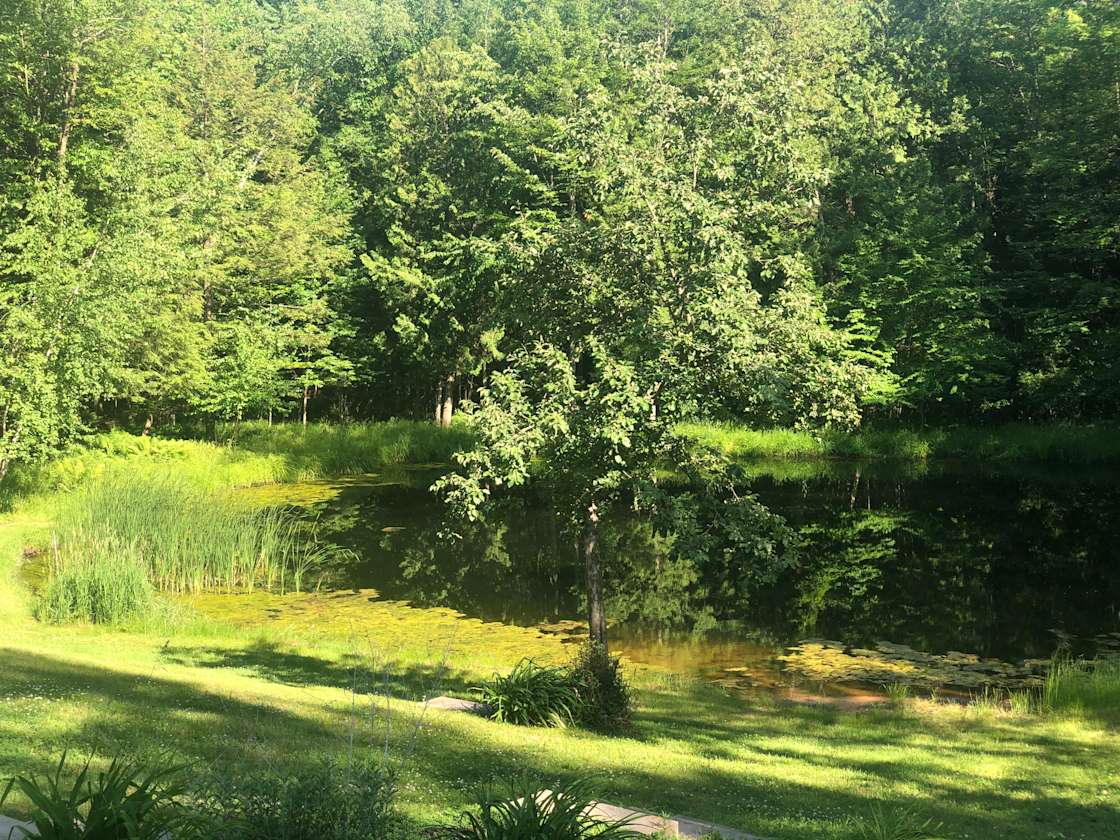 Noman W.’s Land Hipcamp in Abrams, Wisconsin