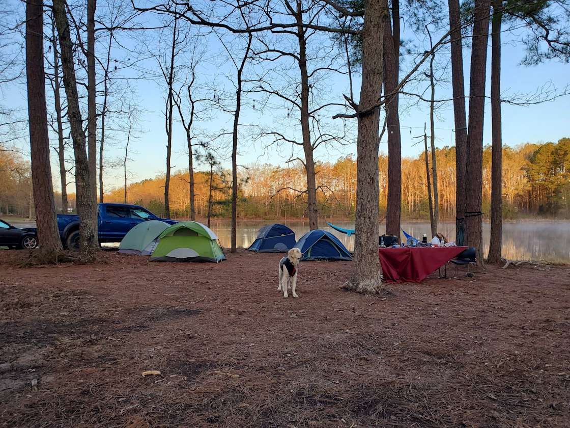 Chigger Creek Camping Hipcamp in Dinwiddie, Virginia