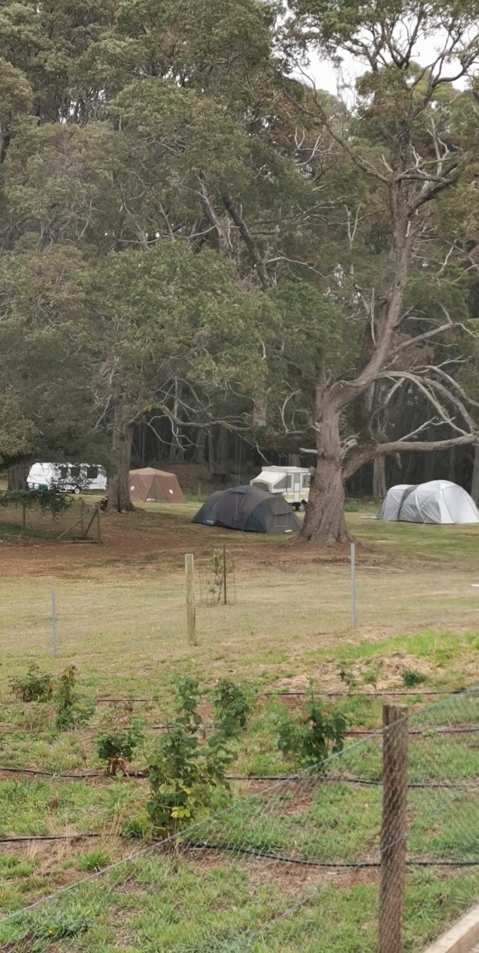 The Top Paddock Hipcamp in Yolla, Tasmania