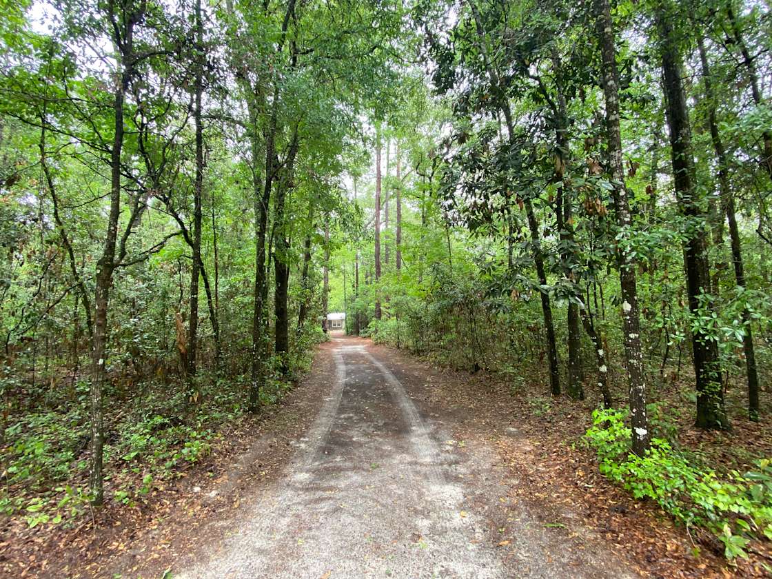 Fort White Ichetucknee River Camp Hipcamp in Fort White, Florida