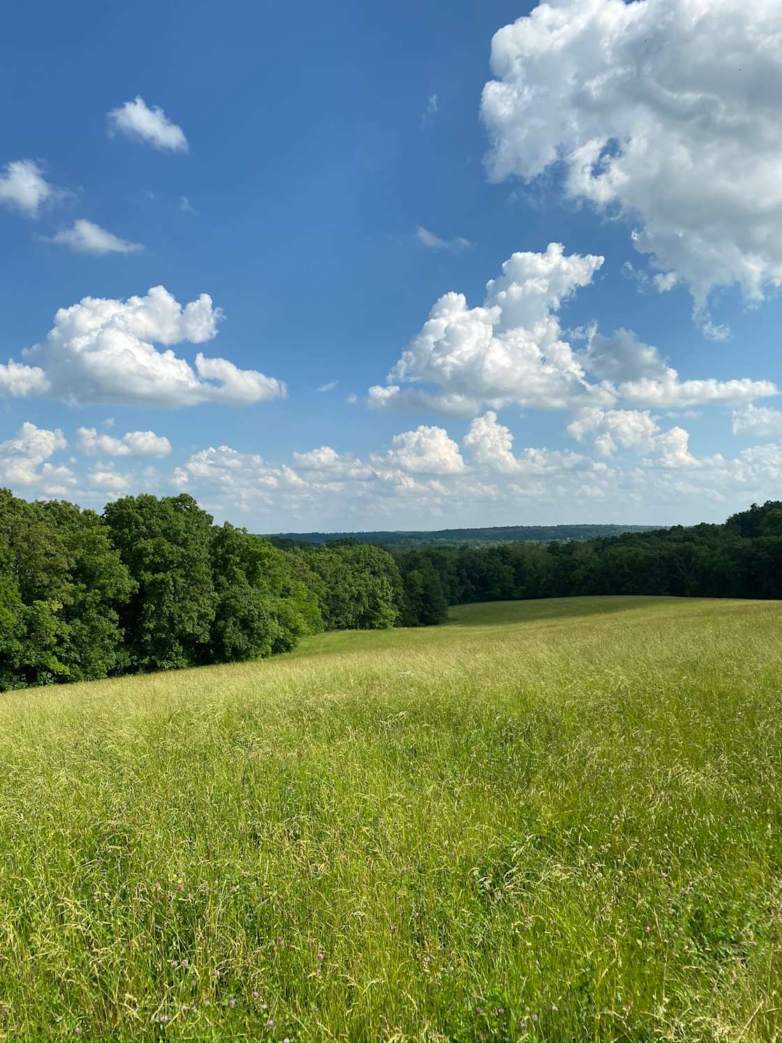 Campsites with Views! Hipcamp in Wooldridge, Missouri
