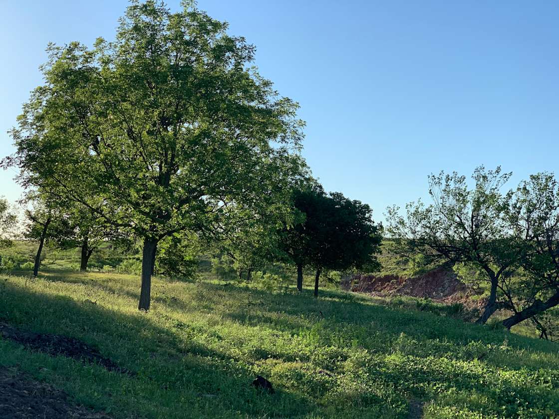 Jacoby's Ranch - Hipcamp In Melvin, Texas