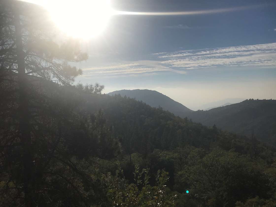 Daniel M.’s Land Hipcamp in Idyllwild Pine Cove, California