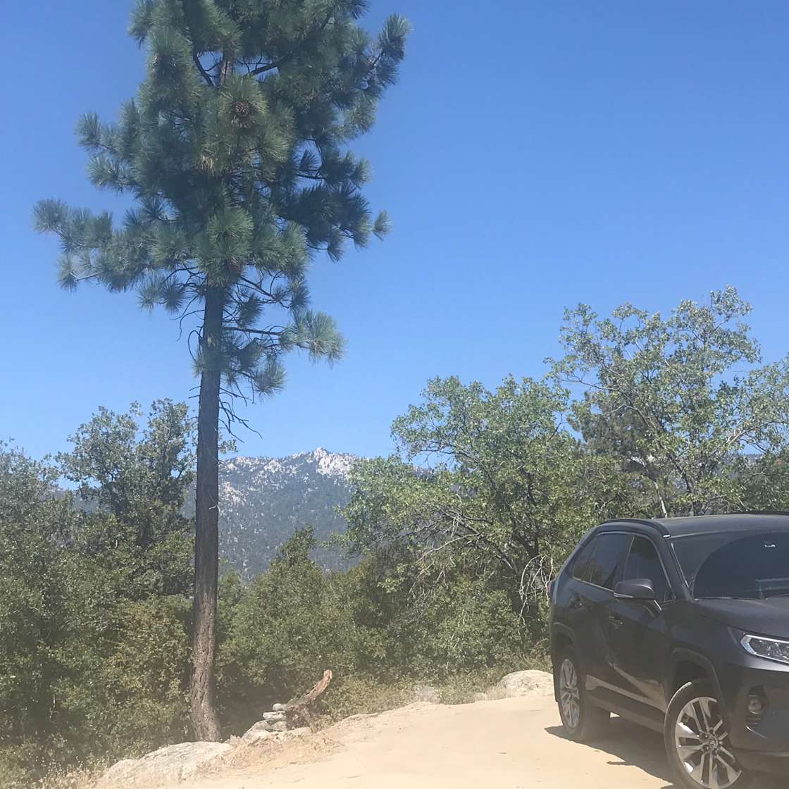 Daniel M.’s Land Hipcamp in Idyllwild Pine Cove, California