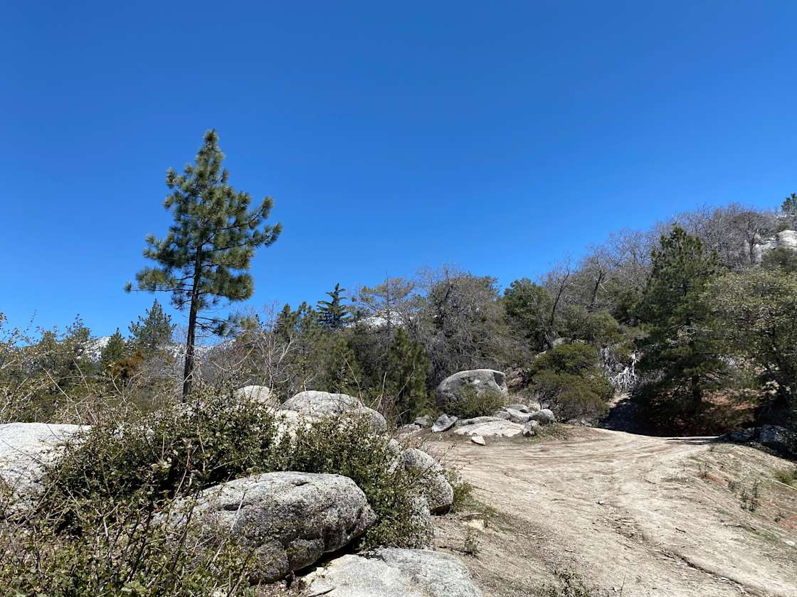 Daniel M.’s Land Hipcamp in Idyllwild Pine Cove, California