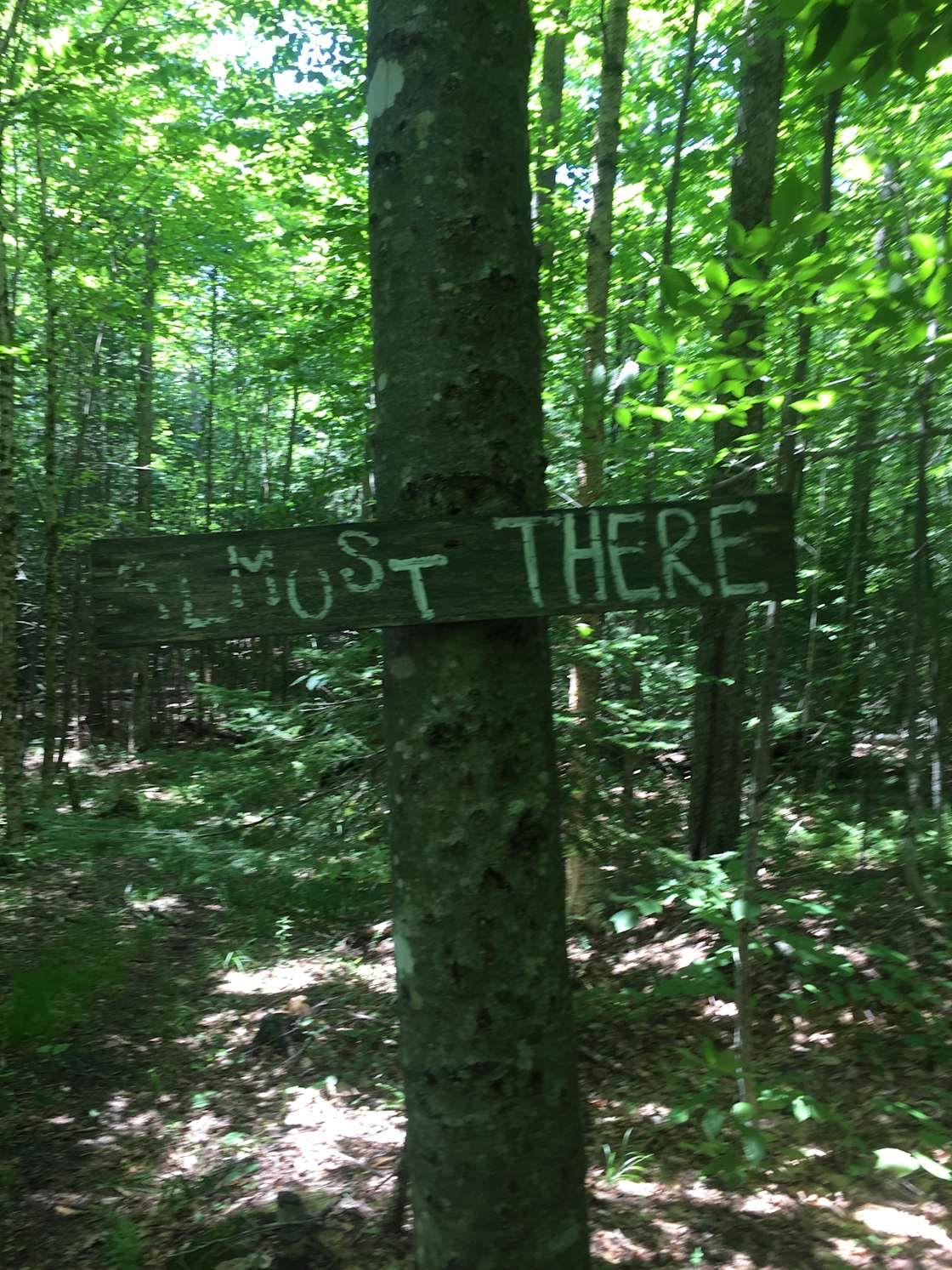 Burke Mountain Bike Camp Haven Hipcamp in East Burke, Vermont