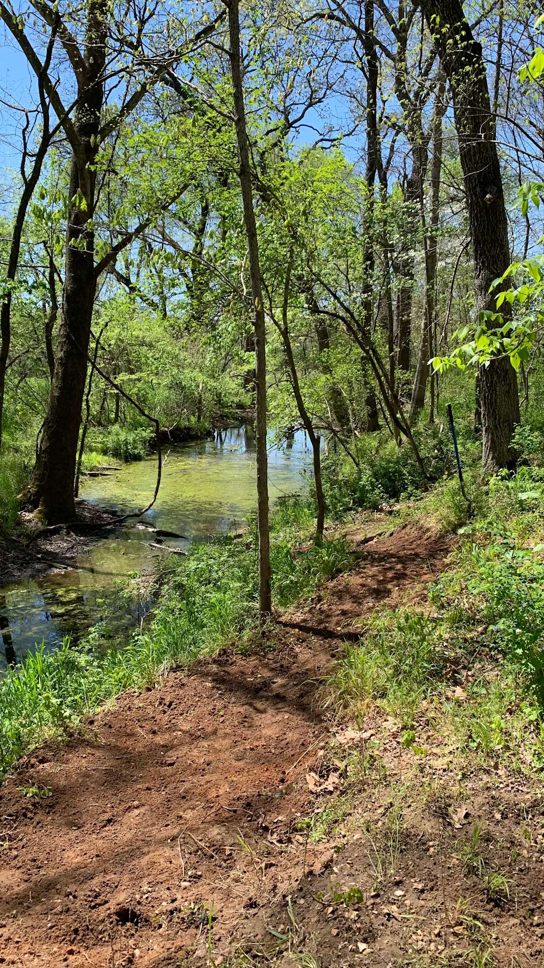 Flint Creek Endurance Heaven Hipcamp in Gentry, Arkansas