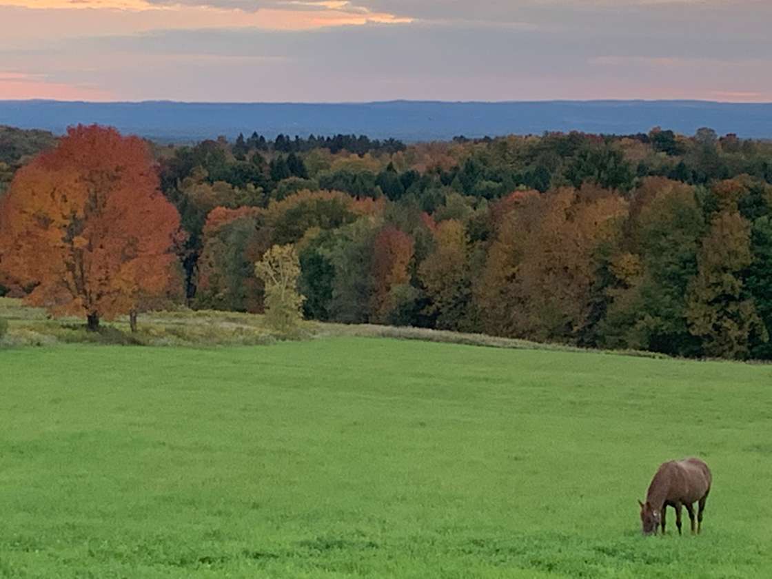 Laker Lane Camp Hipcamp in Taberg, New York