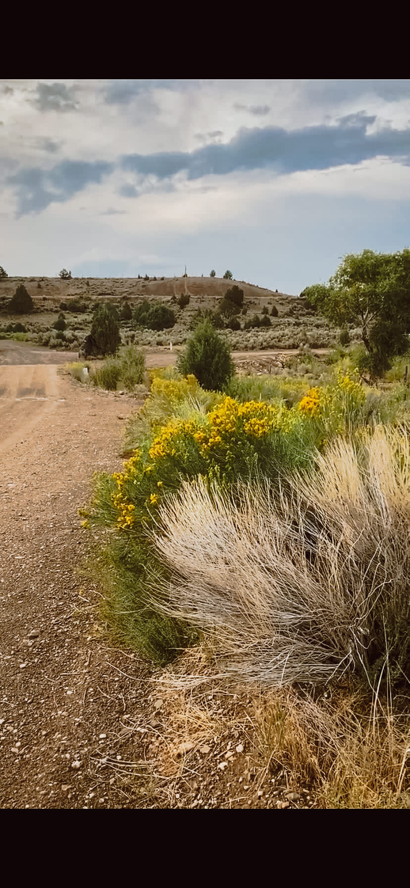 Tyler W.’s Land Hipcamp in Hatch, Utah