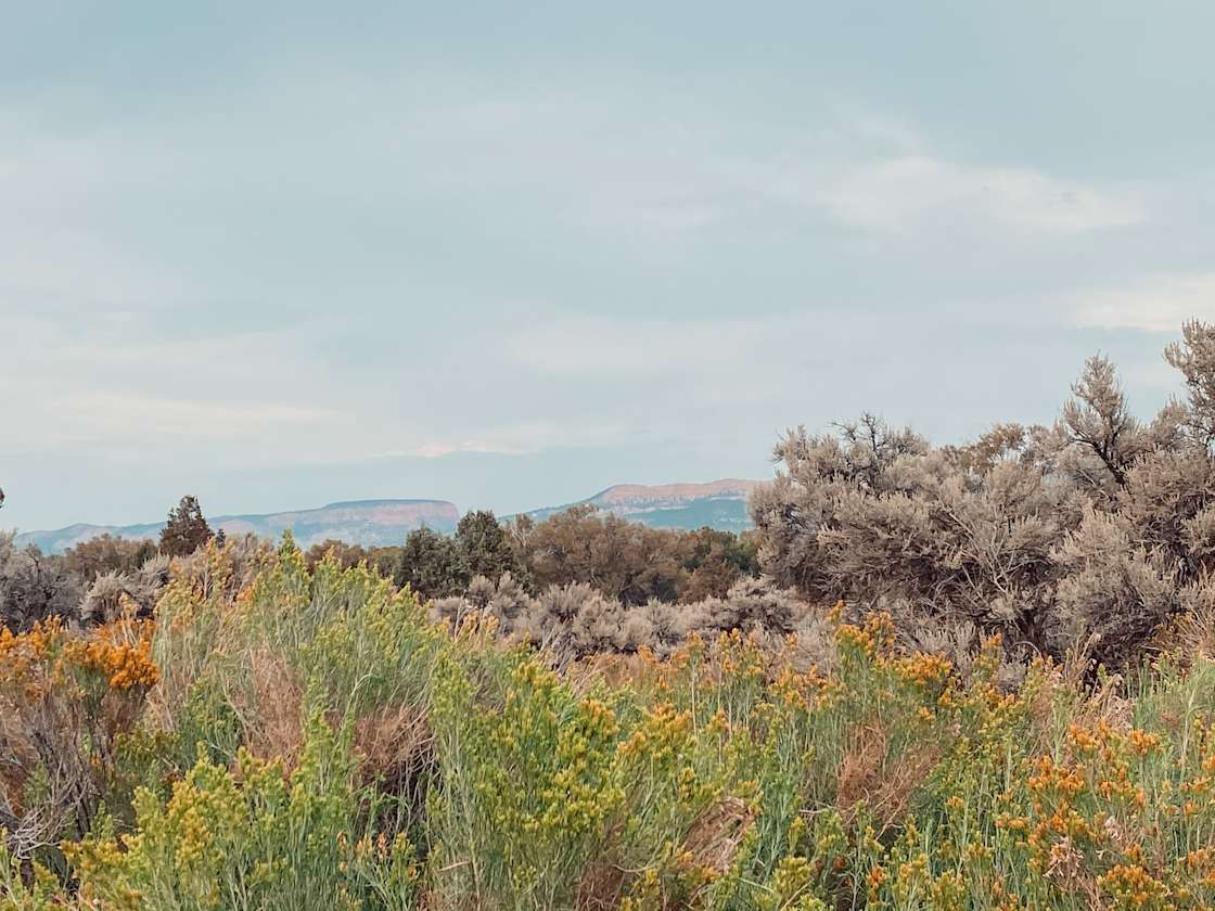 Tyler W.’s Land Hipcamp in Hatch, Utah