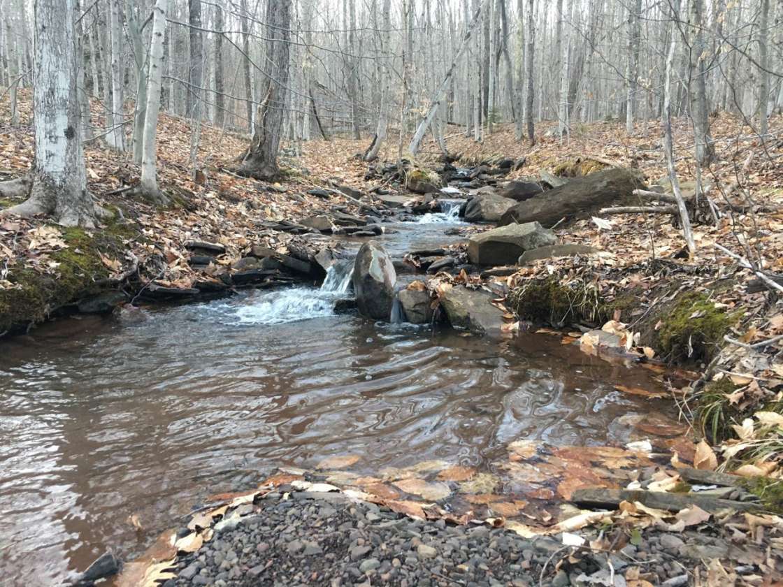 Catskills Forest Pondside Hideaway - Hipcamp In Windham, New York