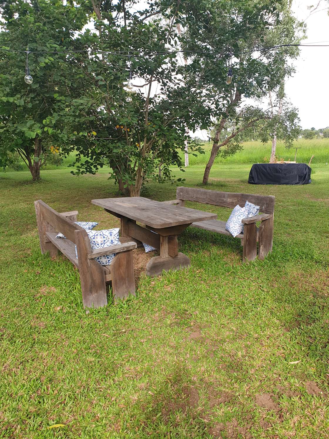 Fig Tree Cottage Hipcamp in Farnborough, Queensland