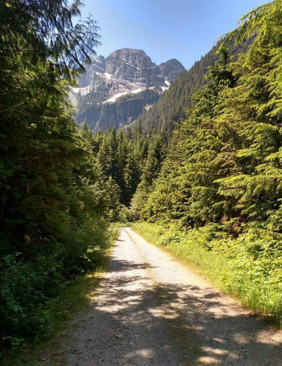 Persis View Campsite Hipcamp in Gold Bar, Washington