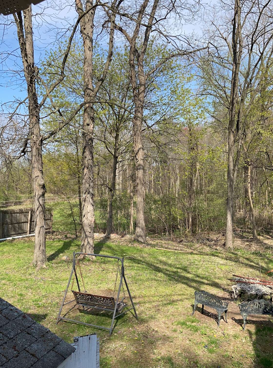 The Rookery Hipcamp in Ballston Lake, New York