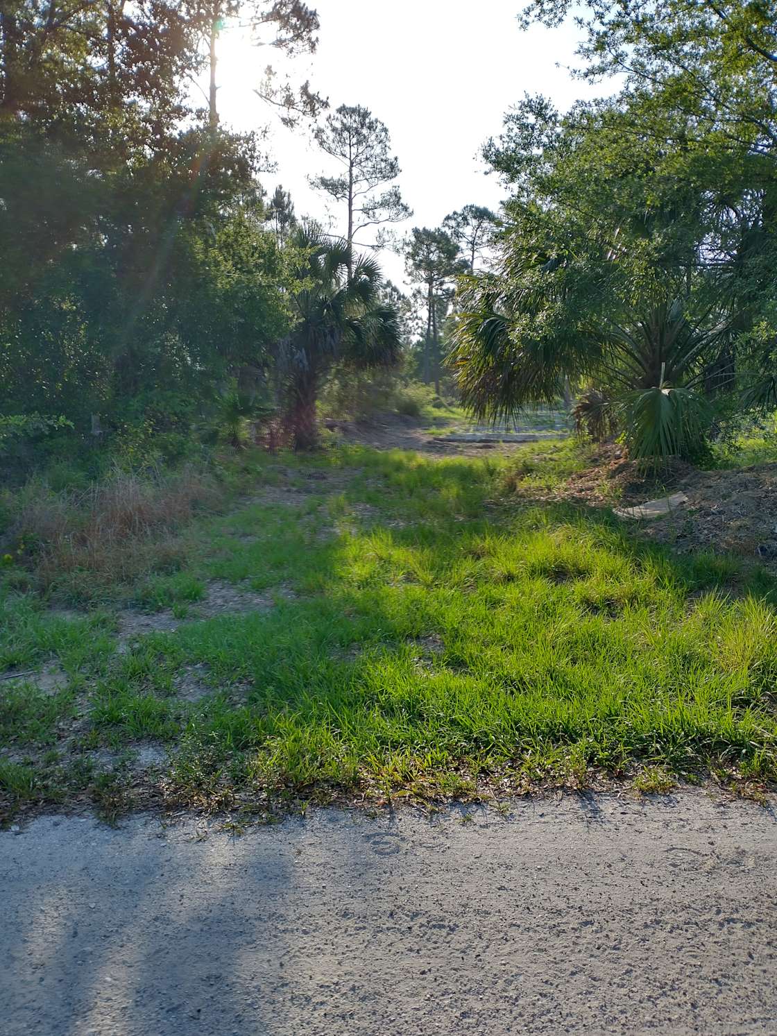 Hart healthy farm - Hipcamp in Punta Gorda, Florida