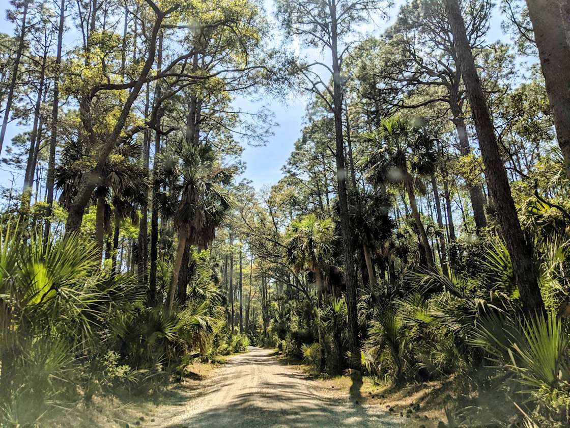 EDENHOPE FARMS Hipcamp in Beaufort, South Carolina