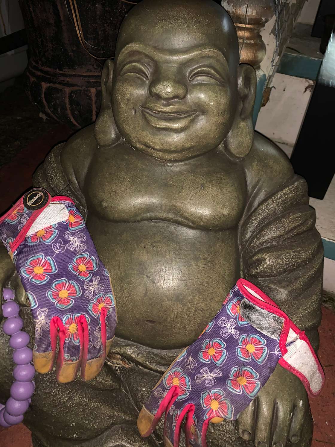 Devil’s Lake Lavender Glamping Farm Hipcamp in Baraboo, Wisconsin