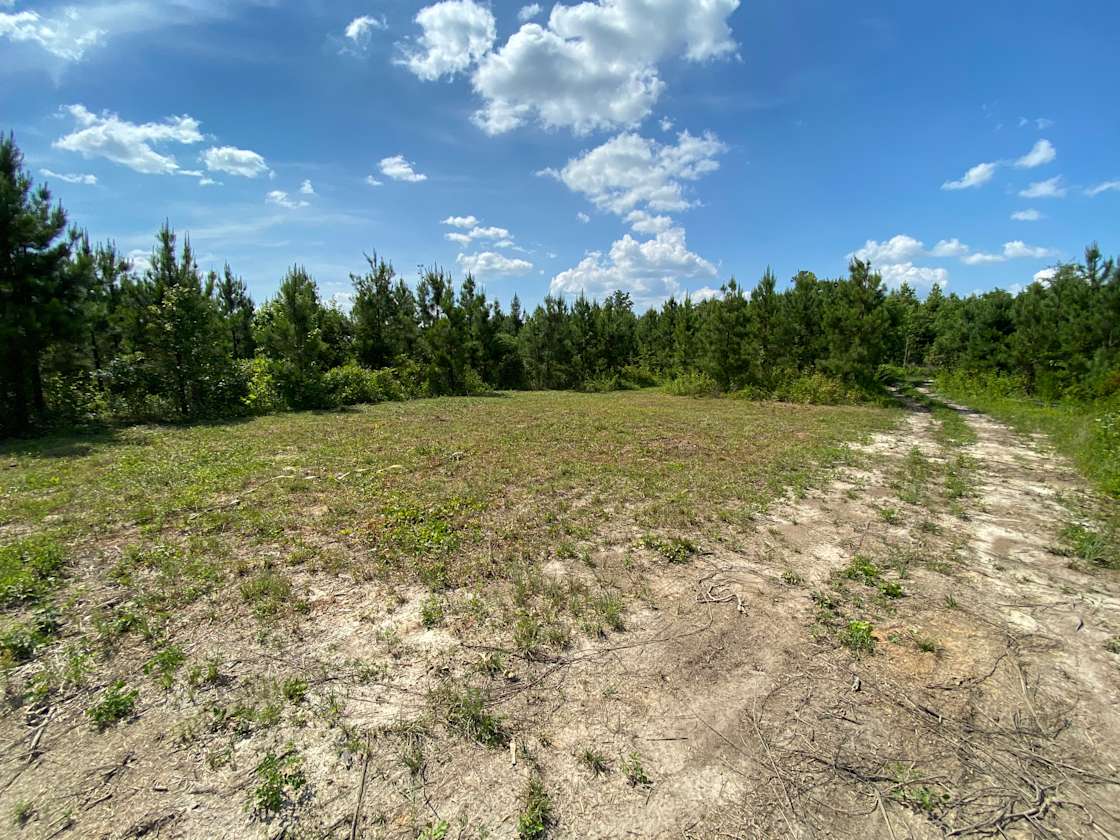 Kyle’s I85 waypoint Hipcamp in Warfield, Virginia