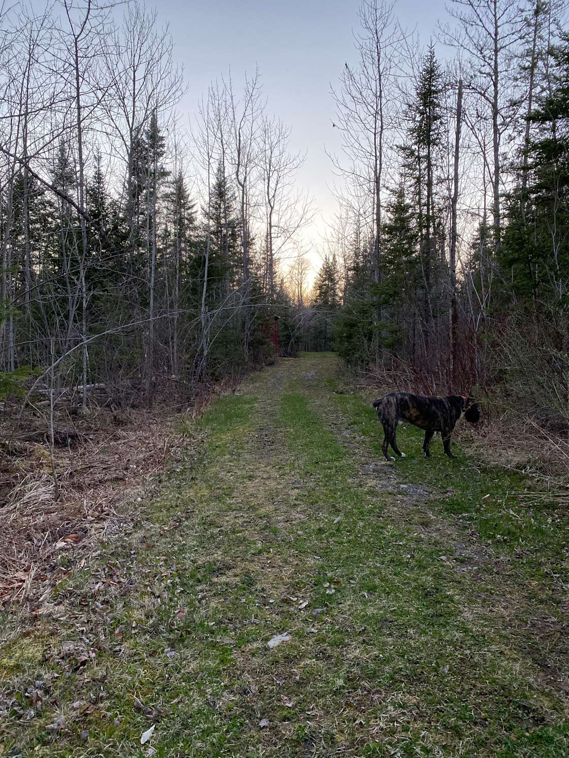 AJ Kozy’s Kamping Hipcamp in Silver Ridge, Maine