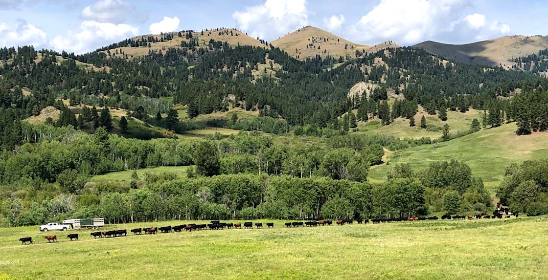 Big Sky Country Hipcamp in Big Sandy, Montana