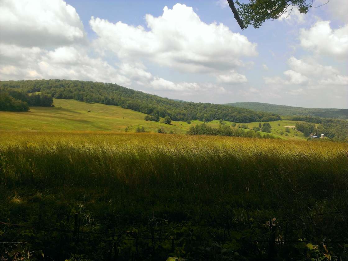 Steam Mill Tent Site Hipcamp in Masonville, New York