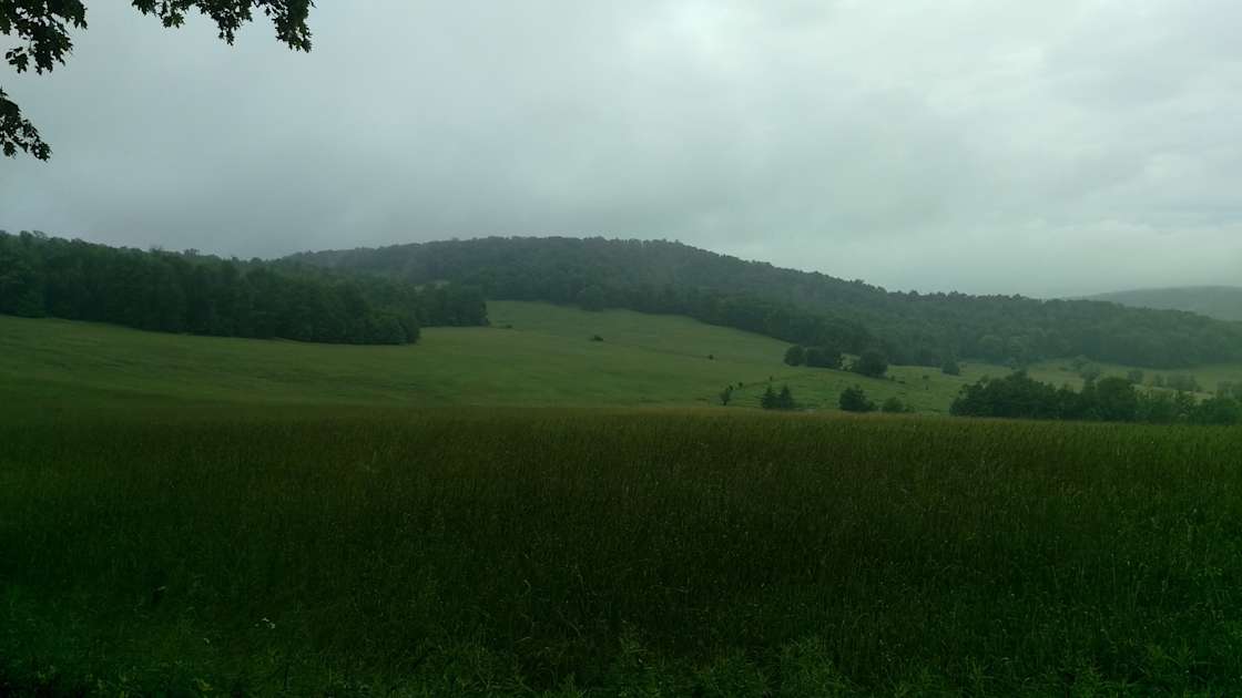 Steam Mill Tent Site Hipcamp in Masonville, New York