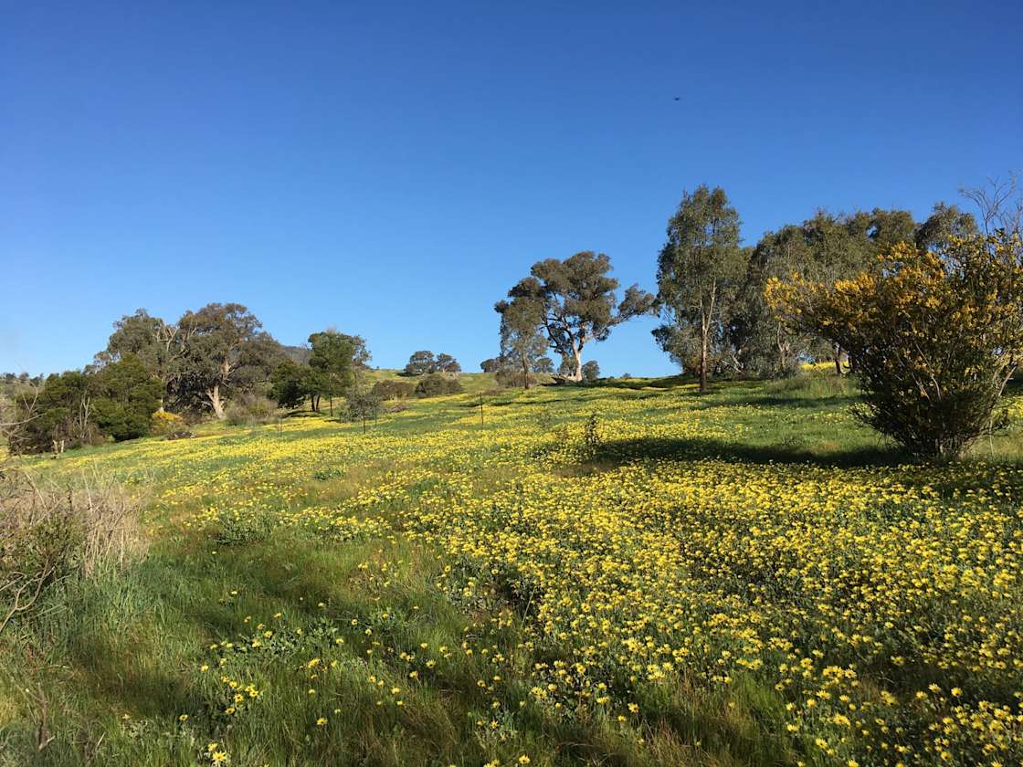 Strathbogie Getaway - Hipcamp in Shepparton, Victoria