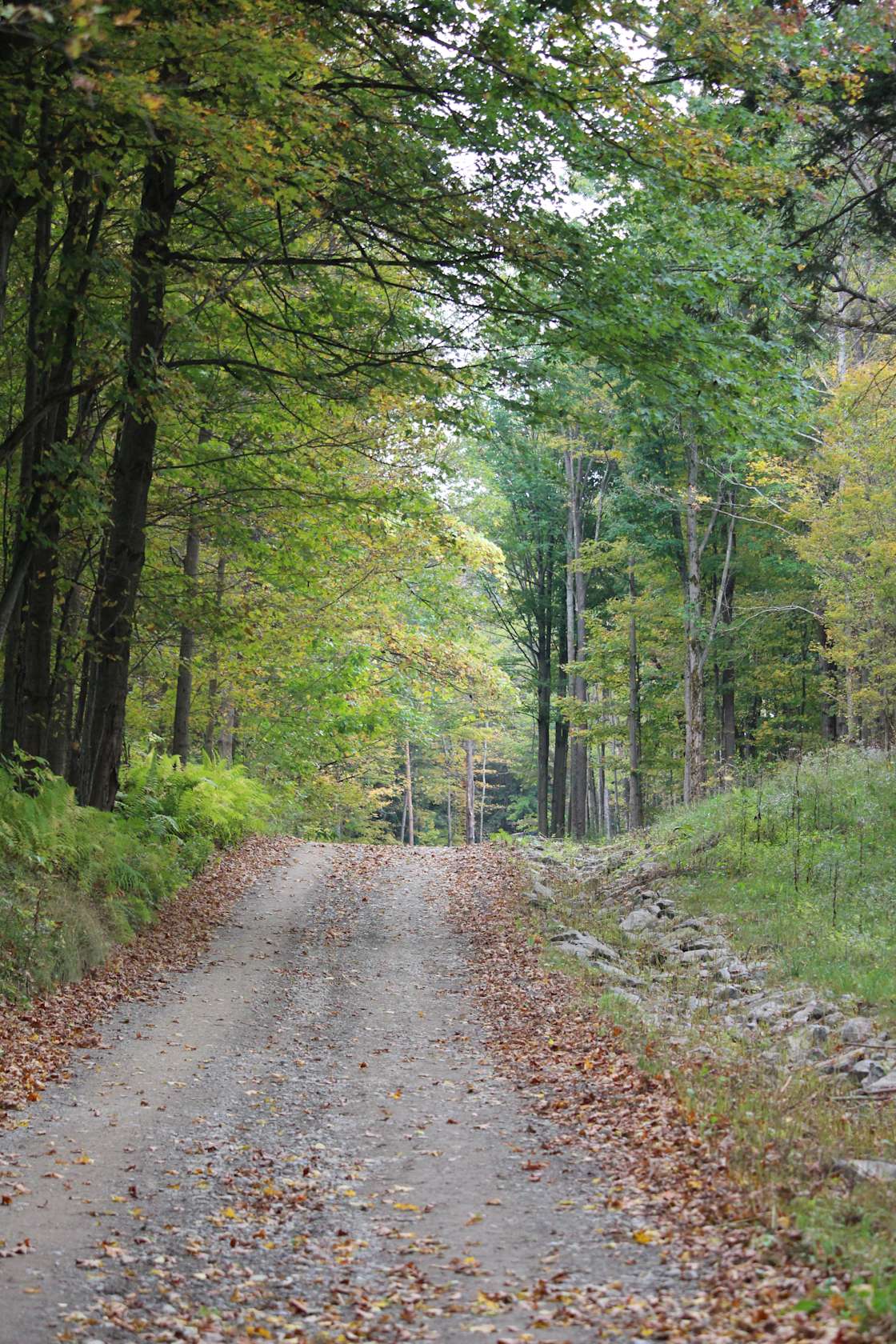 Cherry creek campground and rec. Hipcamp in Cherry Creek, New York