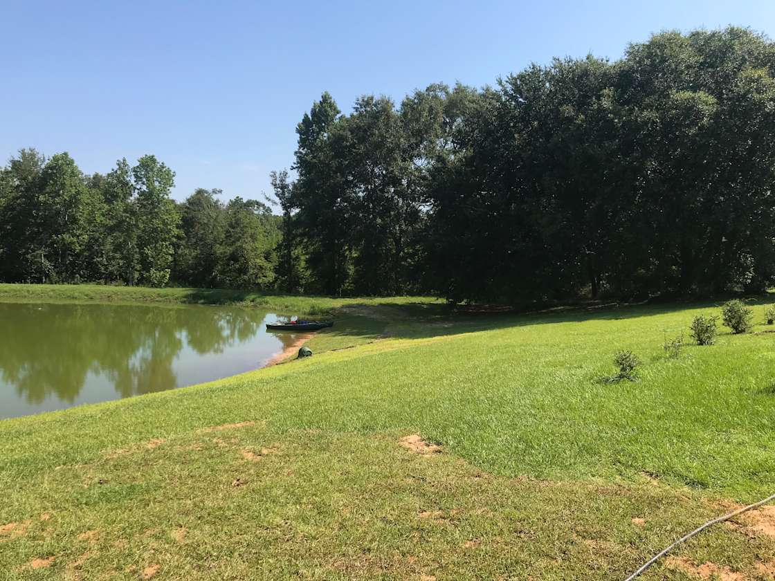 Cantering Hills Rest Hipcamp in Molino, Florida