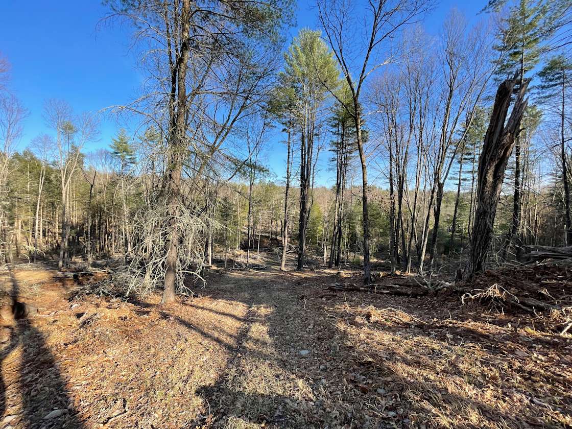 Jesse G.’s Land Hipcamp in Narrowsburg, New York