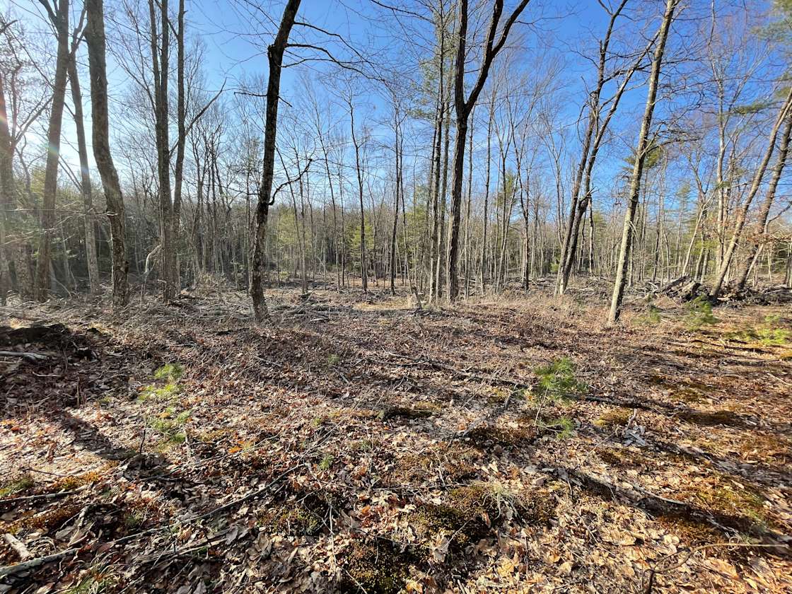 Jesse G.’s Land Hipcamp in Narrowsburg, New York