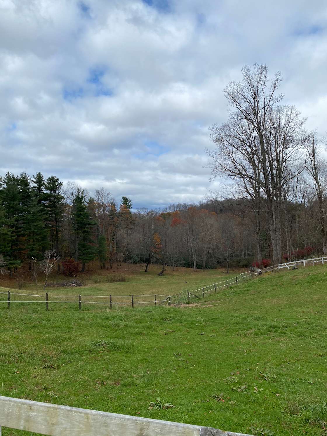 Tent Camping and RV Hipcamp in Hendersonville, North Carolina