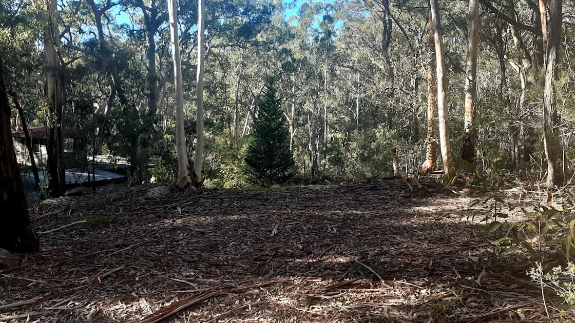 Dharawal Camp Hipcamp in Wedderburn, New South Wales