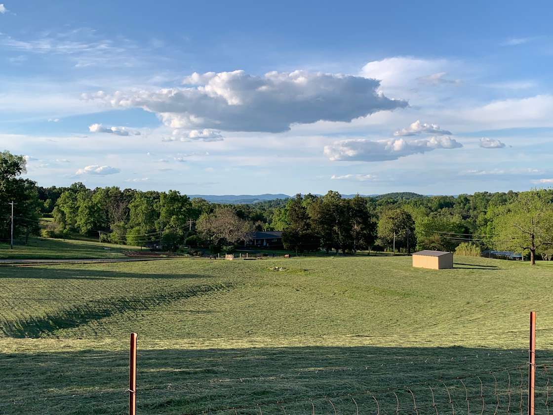 Relaxing in Talbott Hipcamp in Talbott, Tennessee
