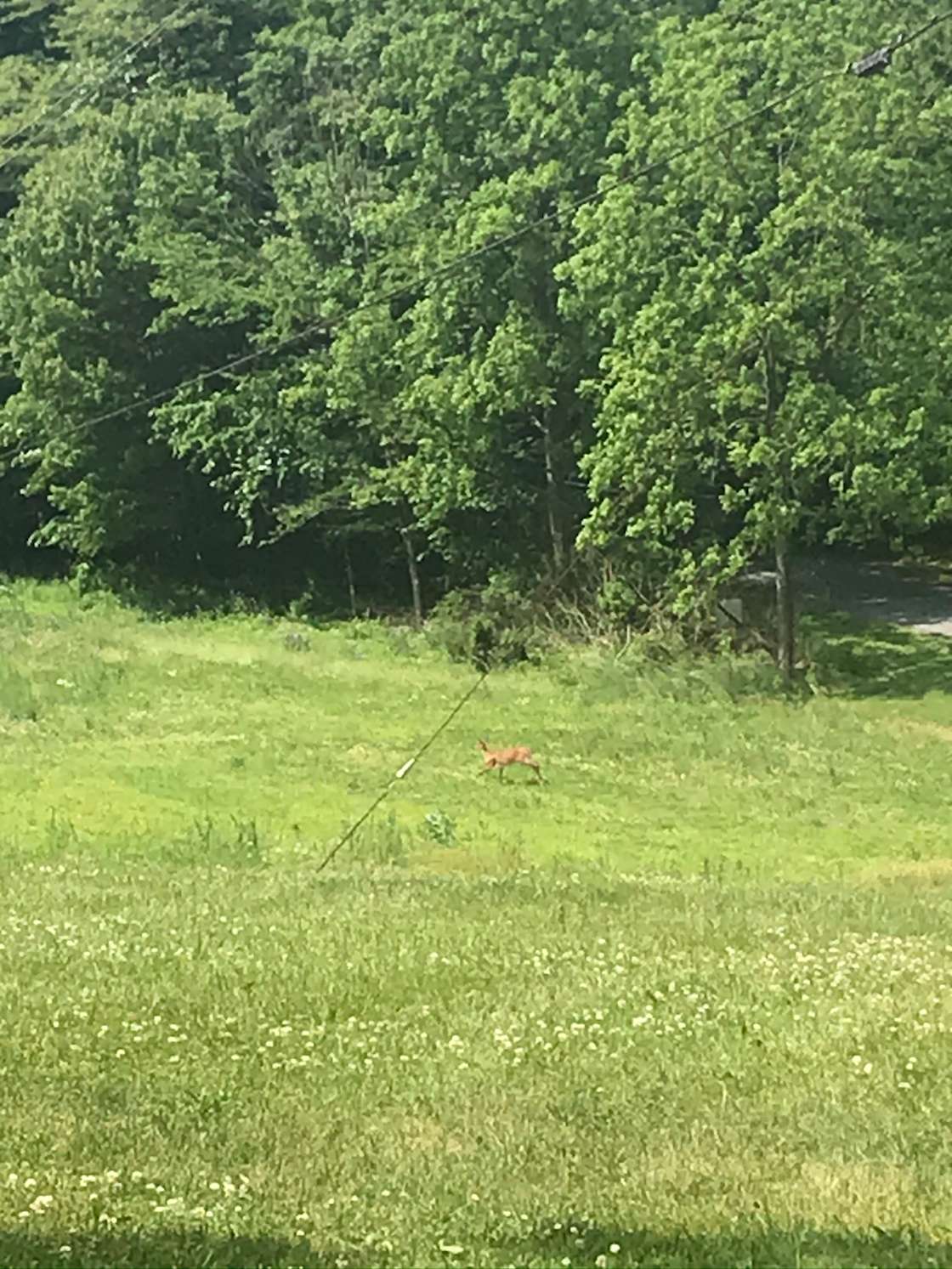 Camper type camping Hipcamp in Elysburg, Pennsylvania