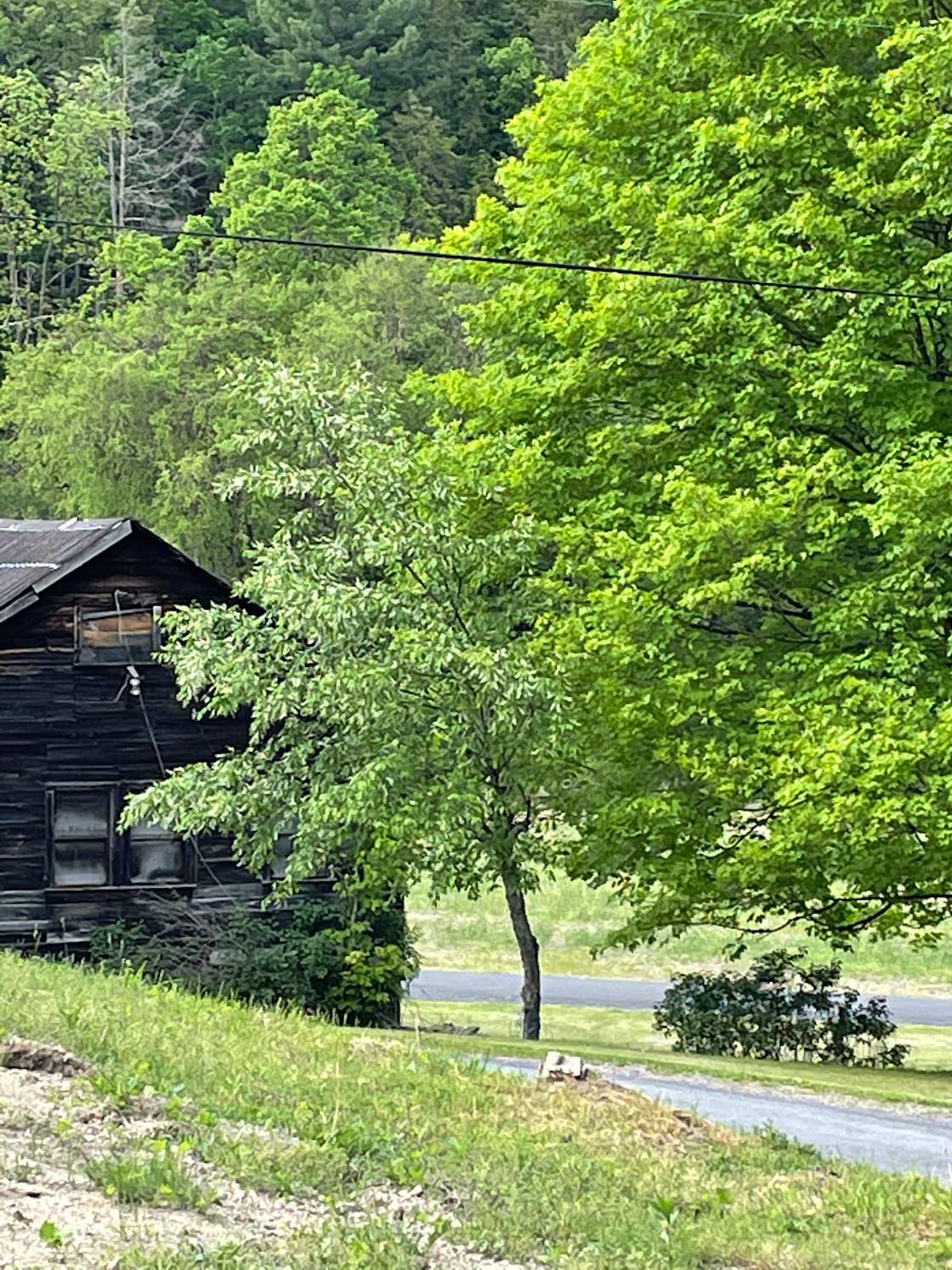 Camper type camping Hipcamp in Elysburg, Pennsylvania