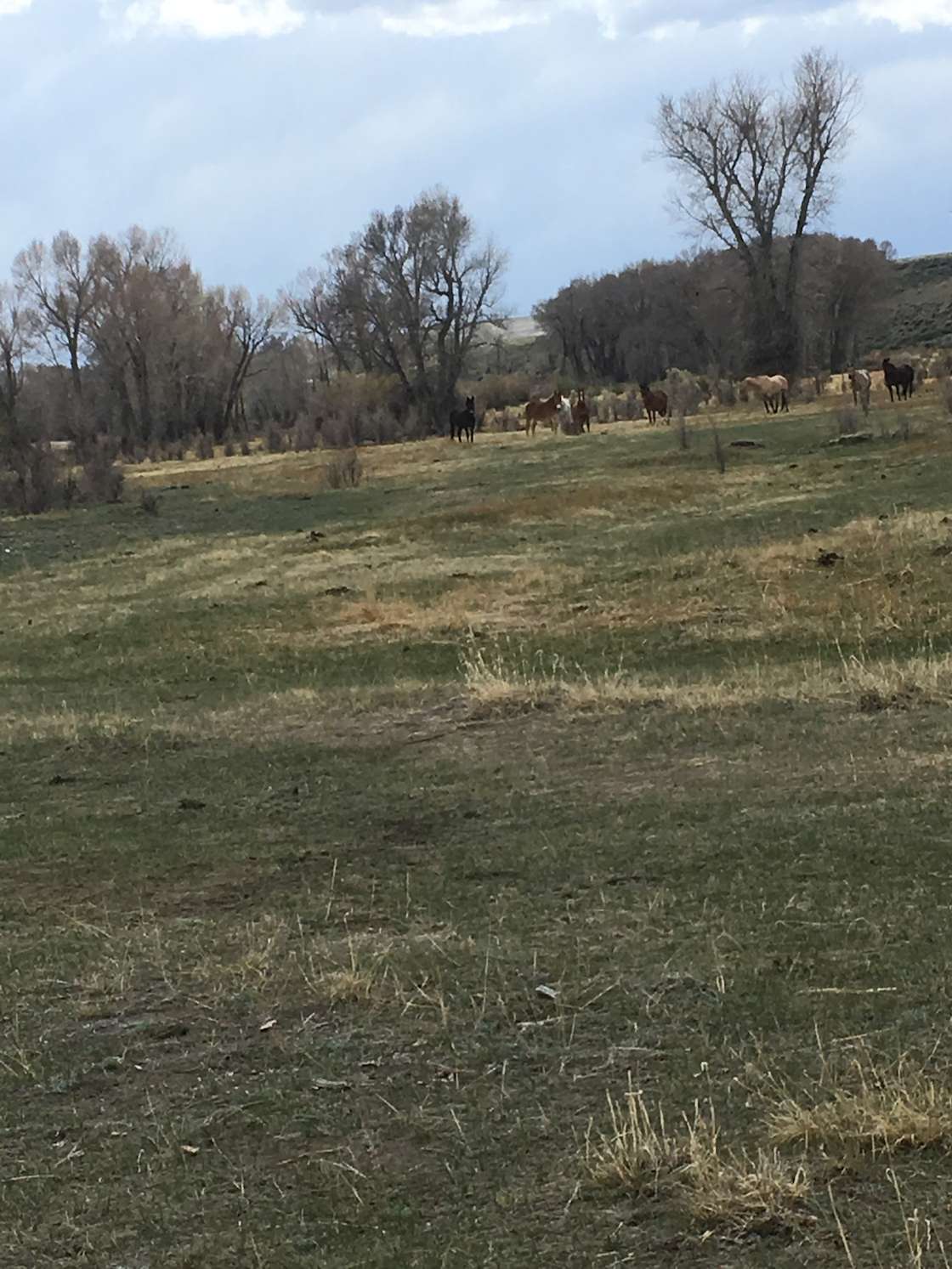 The Nerd Farm Hipcamp in Big Piney, Wyoming