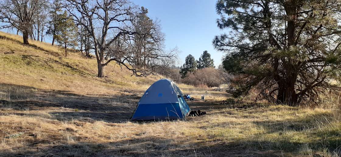 Carbon Farm Mt Hood Hipcamp in Dufur, Oregon